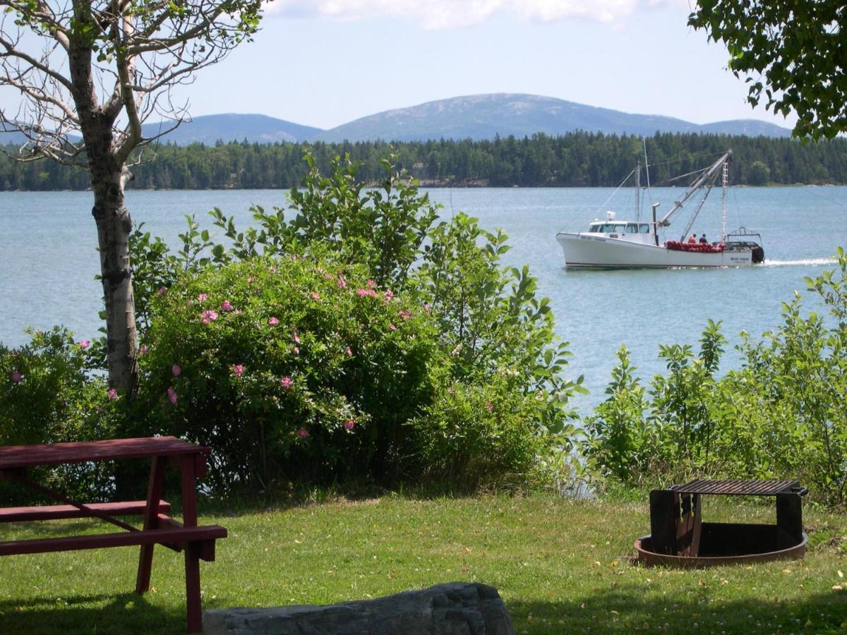 Narrows Too Camping Resort Loft Cottage 12 Trenton Exteriör bild
